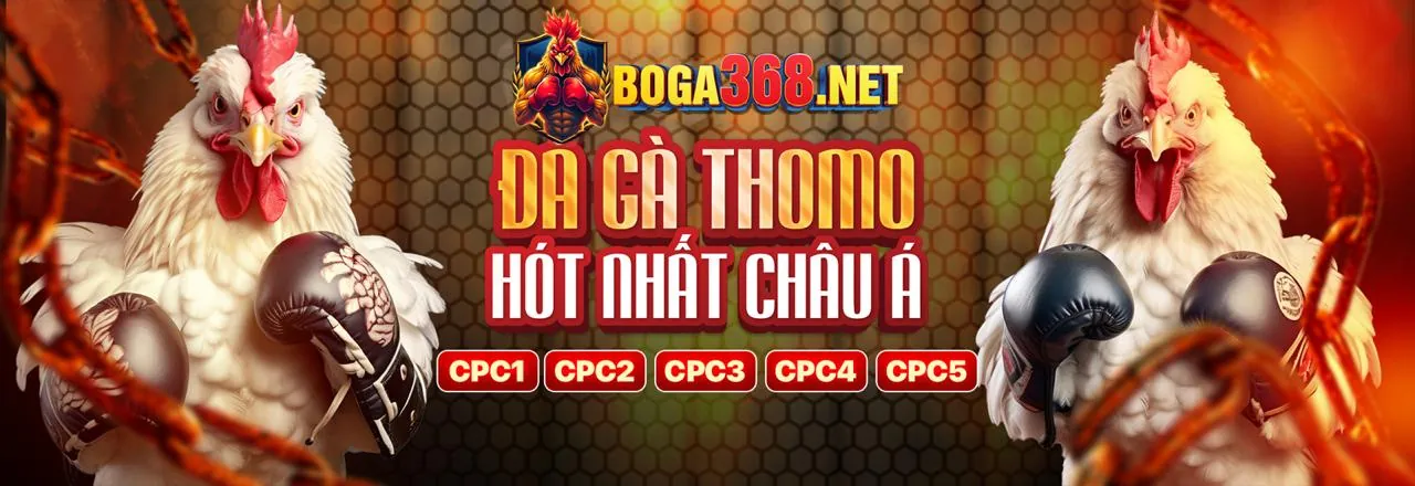 Câu lạc bộ VIP iwn68 nhà cái - Nâng tầm trải nghiệm cá cược