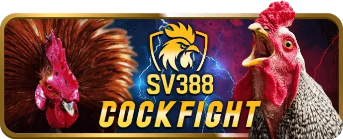 Hỗ trợ khách hàng chuyên nghiệp cho thành viên VIP iwn68 nhà cái